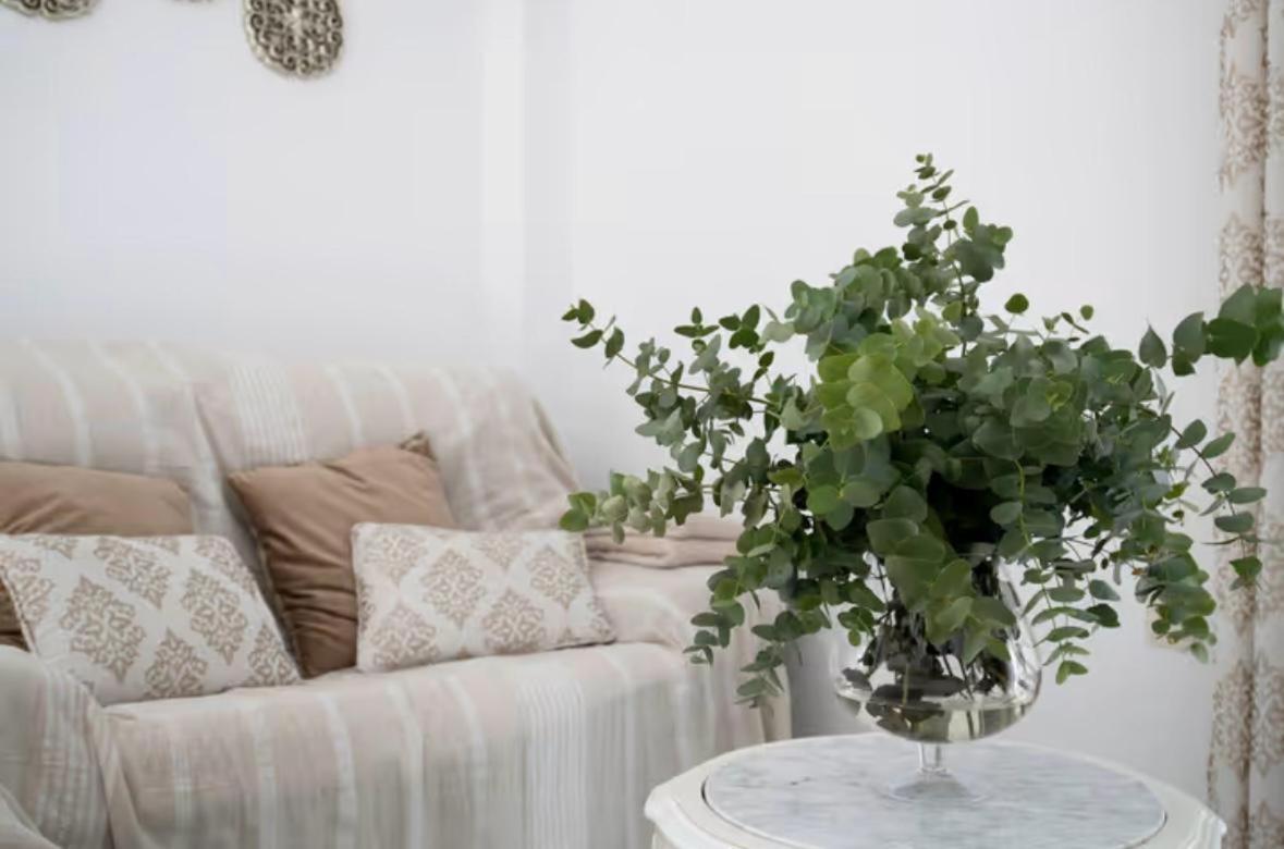 Apartamento Cataleya Ρόντα Εξωτερικό φωτογραφία